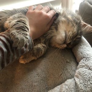 Meet your Posher, Emmaly